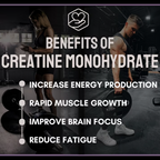 Royal Living Knight Bites Creatine Monohydrate Gummies Royal Berry Flavor 120 count